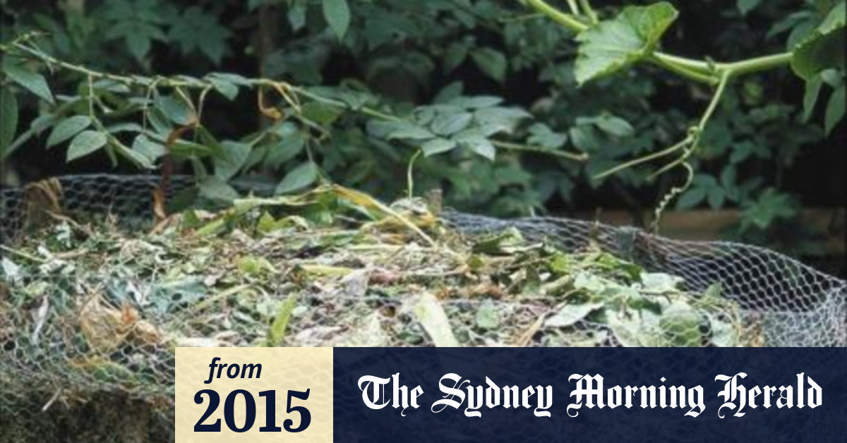Pineneedle challenge in the compost department after the Christmas